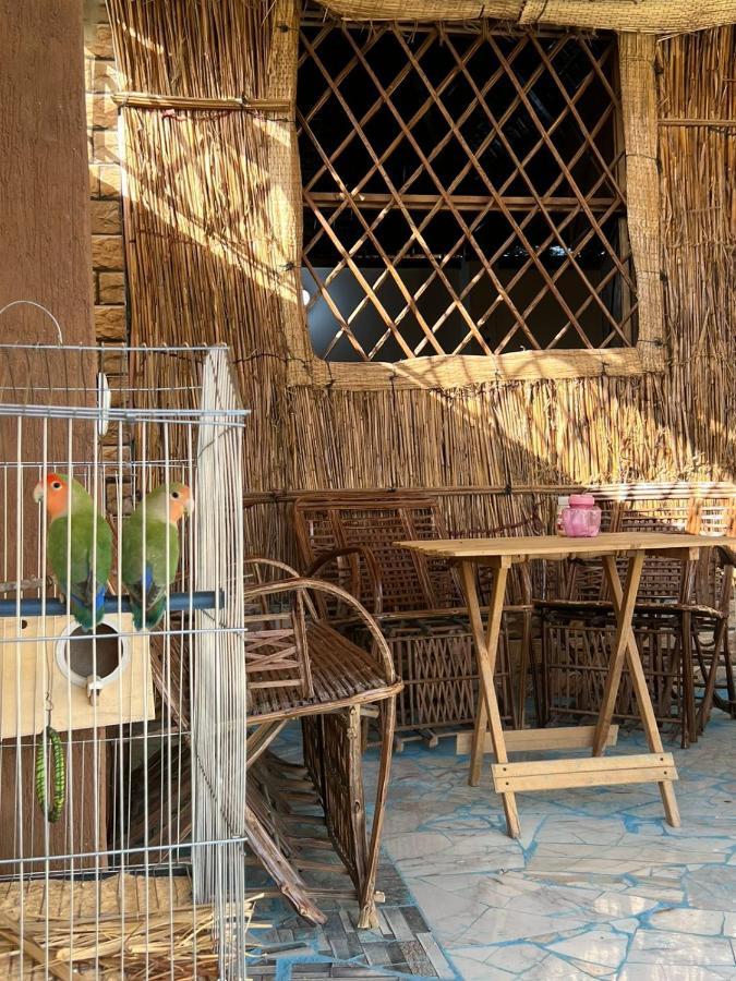 Oasis Camp 호텔 Bawati 외부 사진